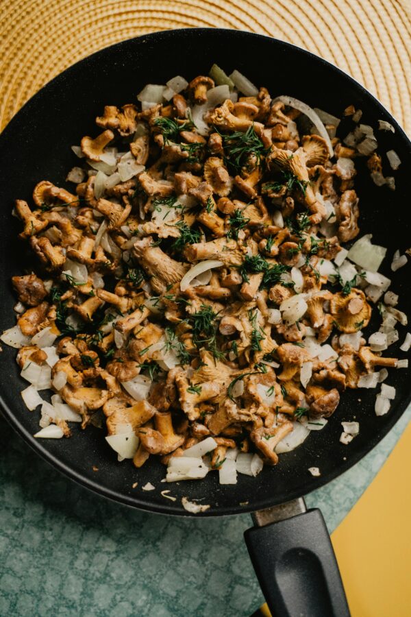 Moringa Mushroom